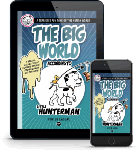 The BIG World According to Little Hunterman eBook with covers shown on a smartphone as well as on a tablet.